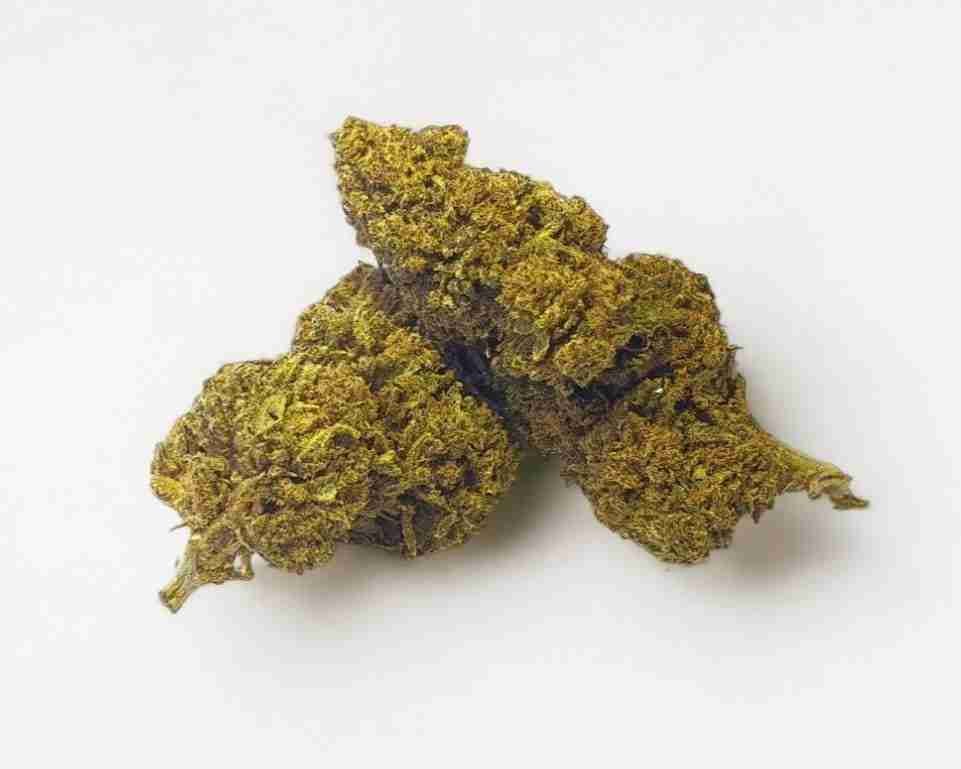 BANNANA KUSH