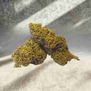 bannana kush