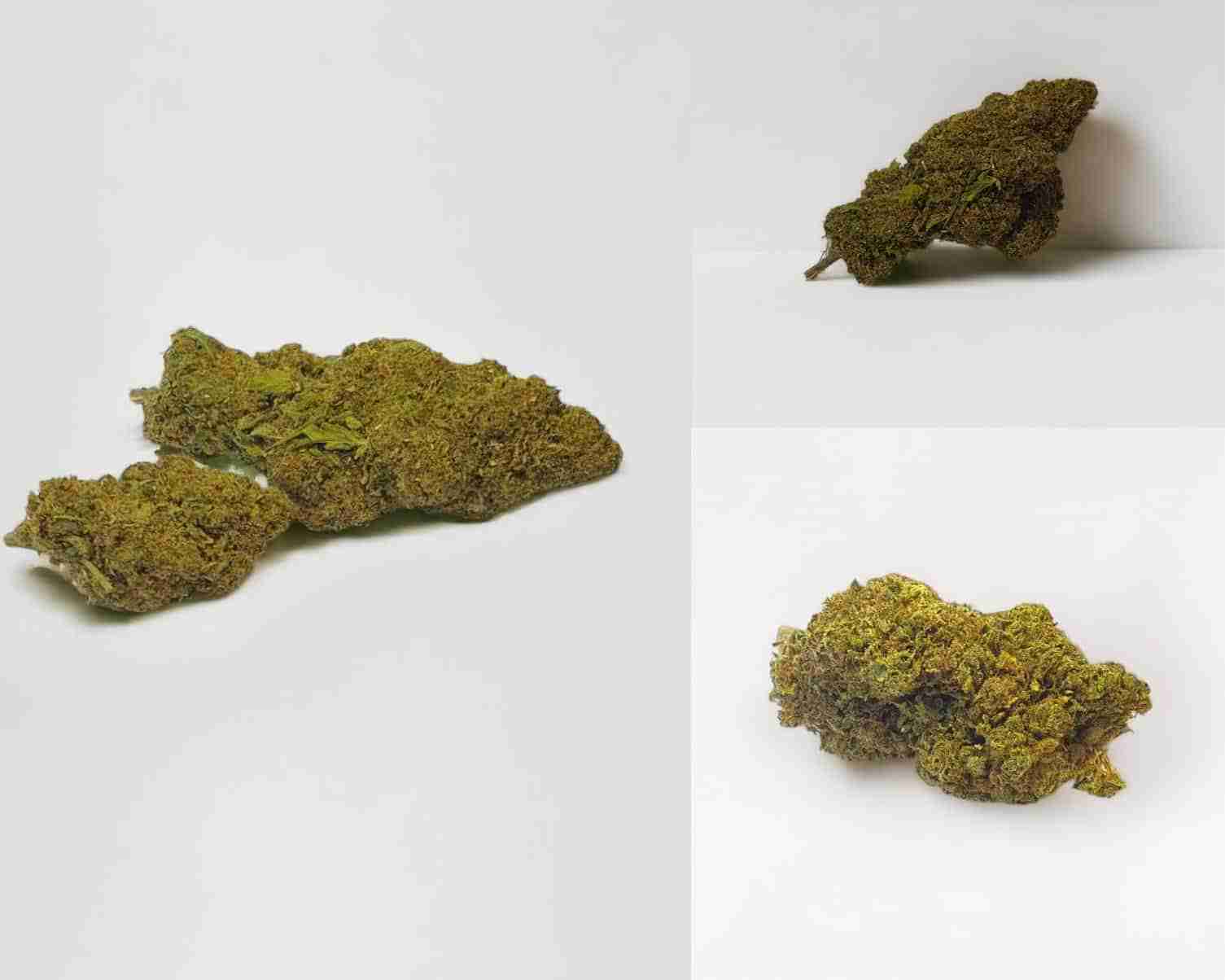 BANANNA KUSH 1