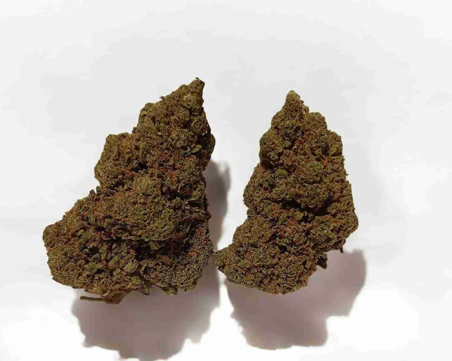 mandarine flor 2