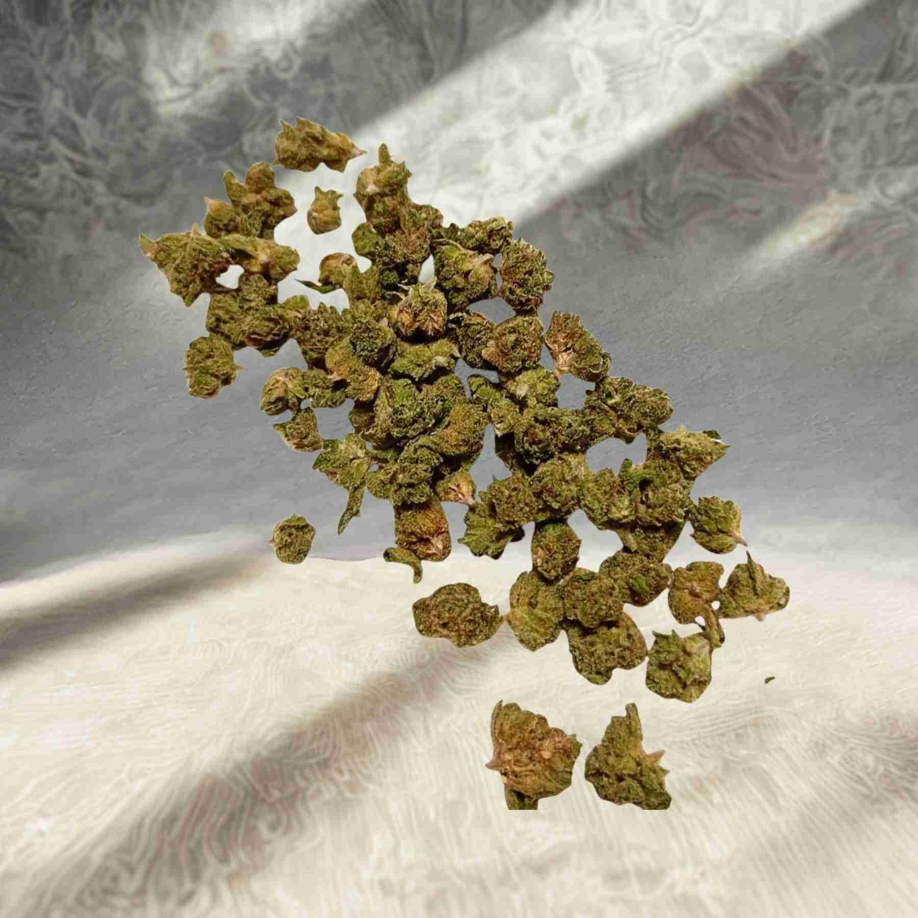 MICRO FLOR