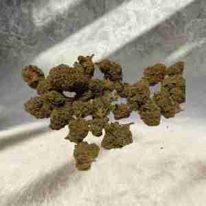 MINI CRITICAL DIESEL