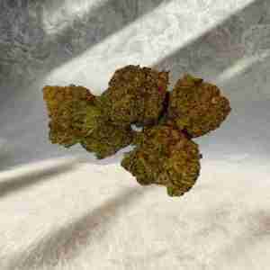 MINI AMNESIA