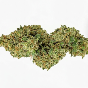 MINI WHITE WIDOW