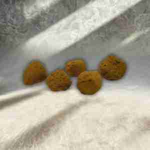 MOON ROCKS