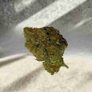 Amnesia hydro