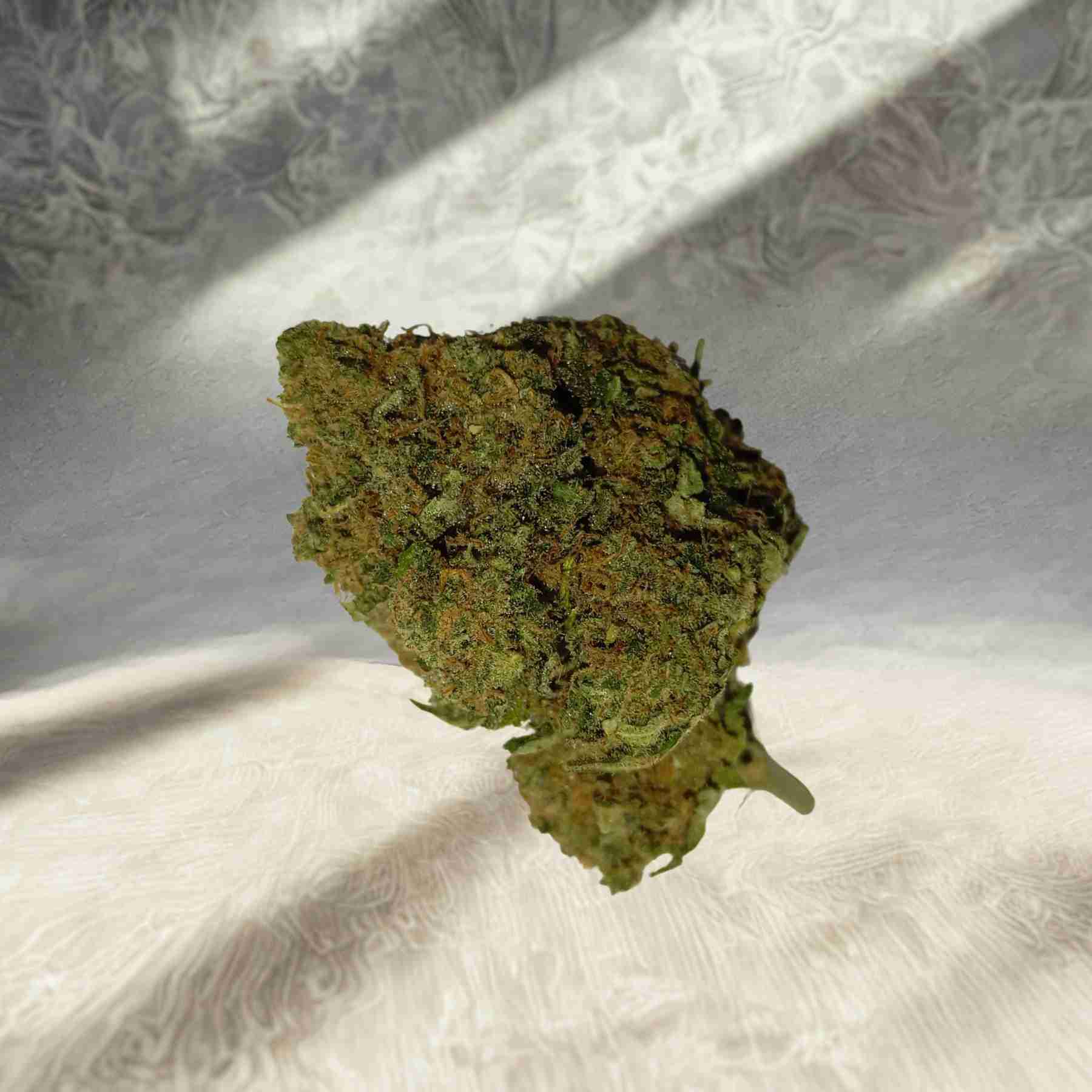 Amnesia hydro