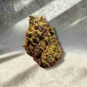 Northern Lights Hydro