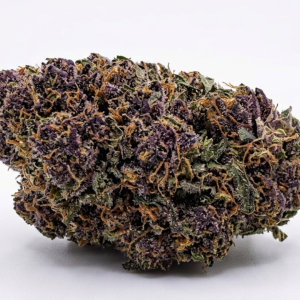 BLACK POISON