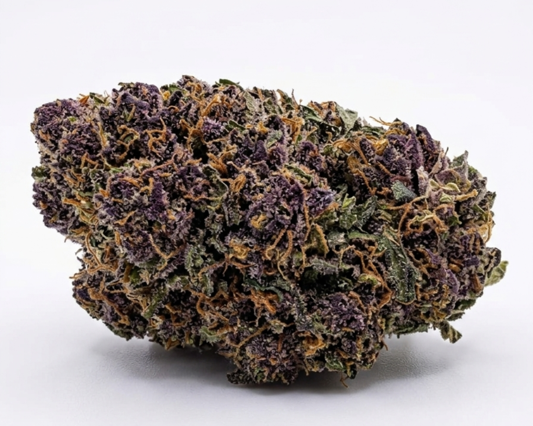 BLACK POISON