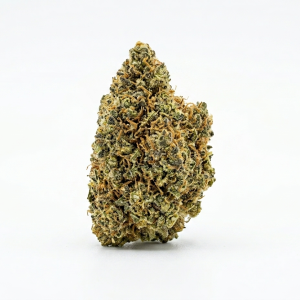 MINI GORILLA