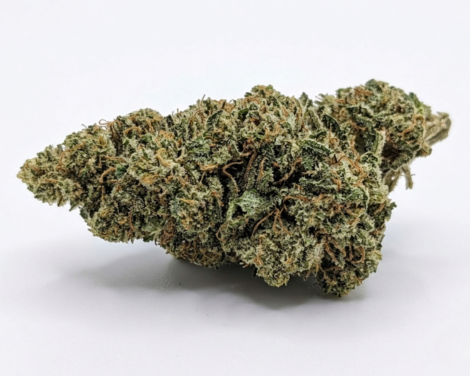 flor white widow
